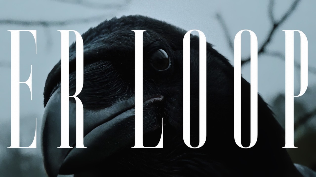 A dark bird’s head behind the tall white Er Loop title